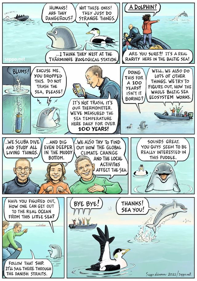  , keywords:
 Baltic Sea  research eider dolphin scuba diving research marine science monitoring climate biodiversity pollution cartoon