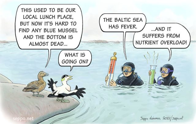  Baltic Sea - climate change & pollution, keywords:
 Baltic Sea climate change pollution eider blue mussel food bottom dead fever global warming nutrient overflow eutrophication 