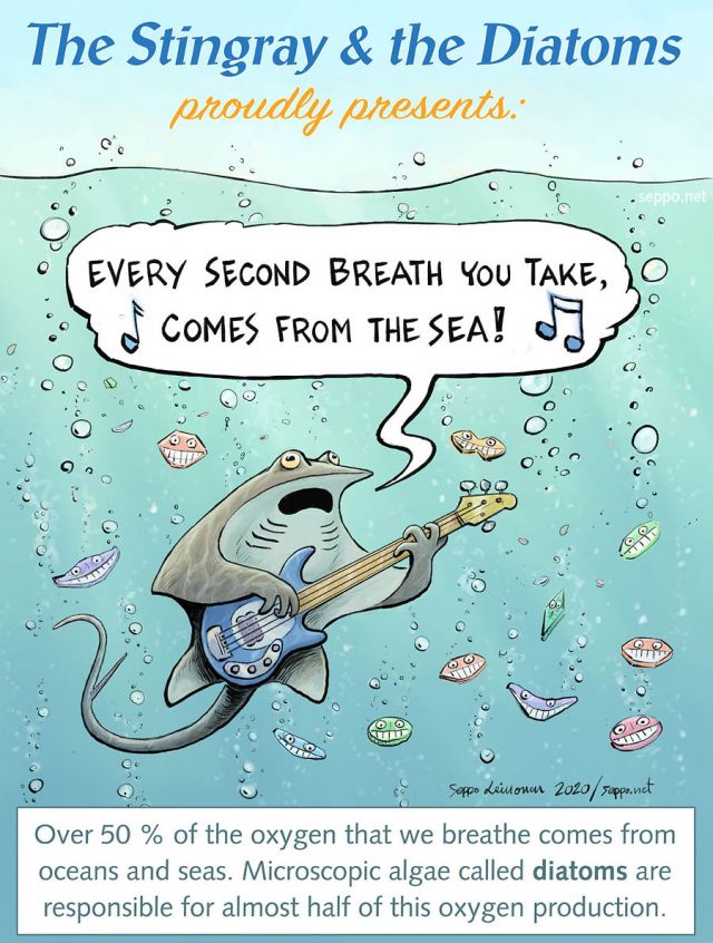  Stingray and diatoms - Every second breath, keywords:
 sting stingray music man bass every second breath diatom oxygen production marine ocean sea fish Baltic sea cartoon