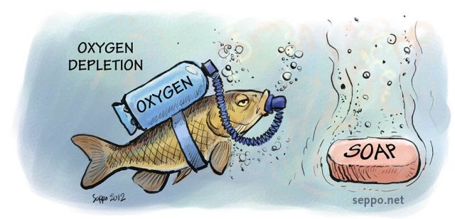  Oxygen depletion in a lake, keywords:
 water water way lake oxygen deficit oxygen-depleted depletion eutrophication soap fish common carp Cyprinus carpio cartoon