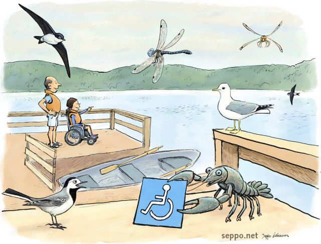  Wheelchair accessible boat dock, keywords:
 boat dock pier boating outdoors nature watching wheelchair disabled invalid handicapped boat house martin white wagtail common gull crayfish crawfish Delichon urbicum hawker mosaic darner Motacilla alba Larus canus Astacus astacus Aeshna grandis Aeshna ju