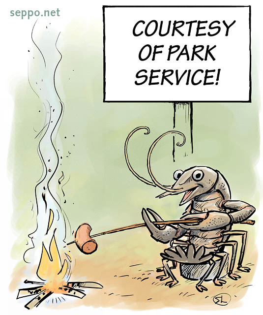  Campfire – Crayfish fries sausage, keywords:
 park service public land campfire fire fireplace camping outdoors picnic sausage crayfish Astacus astacus cartoon