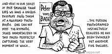 peter_von_bagh-passikuva_e.jpg