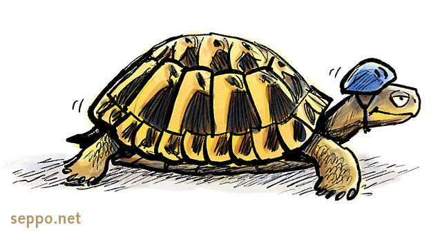  Turle with helmet, keywords:
 turtle Testudines helmet reptile shell cartoon