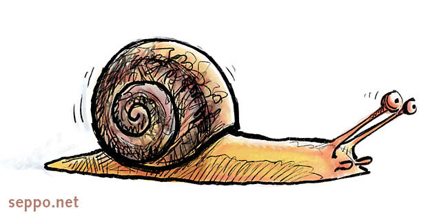  Burgundy snail, keywords:
 Burgundy snail Roman snail edible snail escargot tentacles Helix pomatia cartoon