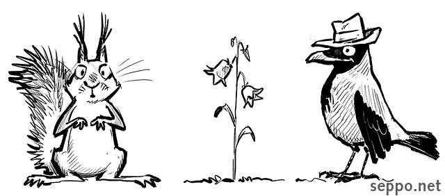  Squirrel Crow and Harebell, keywords:
 Squirrel Hooded crow Harebell Sciurus vulgaris Corvus corone Campanula rotundifolia pilapiirros