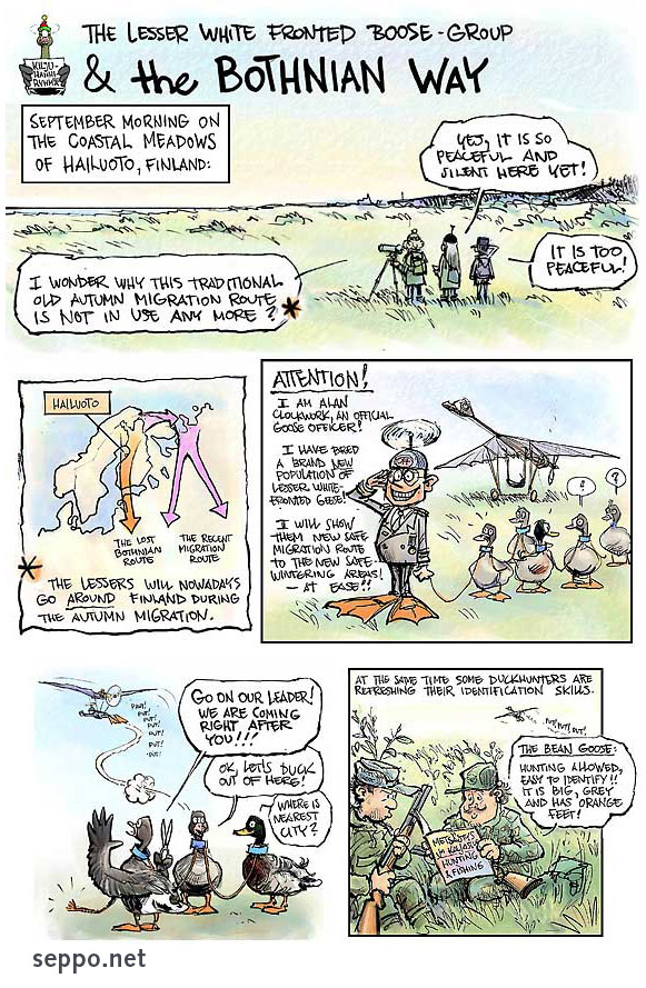  The Lesser White-fronted Boose Group & The Bothnian Way, keywords:
 Lesser White-fronted Goose Anser erythropus The Lesser White-fronted Boose Group The Bothnian Way cartoon endangered species