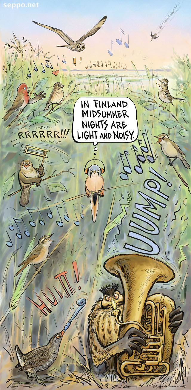  Summer night - wetland birds singing, keywords:
 birds wetland concert summer night bittern spotted crake sedge warbler Blyth&#039;s reed warbler bearded reedling common grasshopper warbler rosefinch meadow pipit short-eared owl snipe song noise shore cartoon