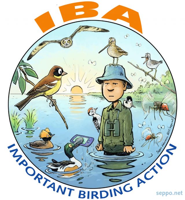  Important Bird Areas, keywords:
 birds cartoon important birding action birder