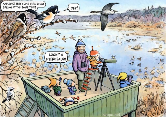 Birdwatching with kids, keywords:
 birds bird tower kids children birder guide reed bunting branbling great grey shrike whooper swan bean goose golden eye pochard wigeon ruff grey heron spring bird watching play outdoors nature cartoon