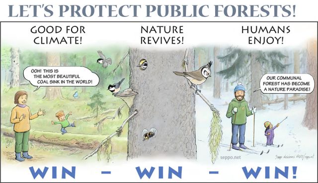  Let's protect public forests, keywords:
 public forest recreational outdoors nature conservation coal sink olg-growth restoration nature paradise willow tit coal tit crested tit three-toed woodpecker butterfly. bumblebee cartoon