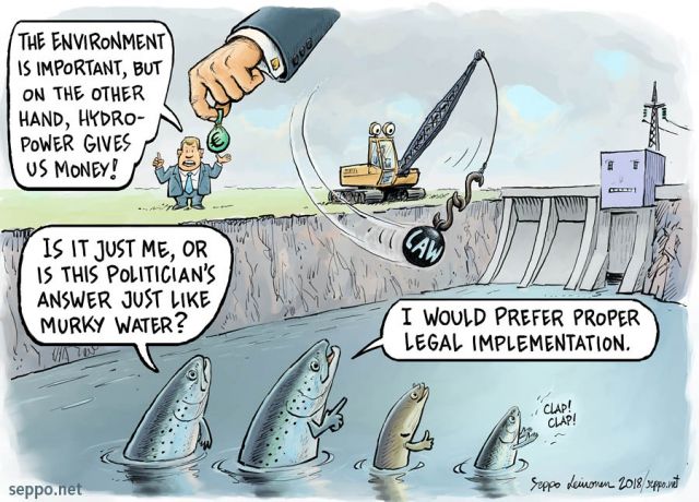  Hydro power companies politicians and water law, keywords:
 salmon eel whitefish migrating fish swimway passage technical natural wetland dam threat sea ocean dam removal hydro power company water law money corruption politician politics administration spawning river fish migration rivers Salmo salar Anguilla Core