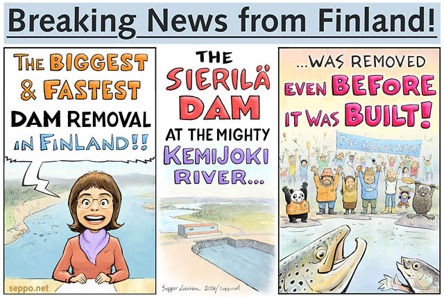  The biggest & fastest dam removal in Finland, keywords:
 dam removal Finland Kemijoki river hydro power dam Fortum UPM Helen fish migration salmon trout grayling river activism rowing canoeing water framwork directive free flow cartoon