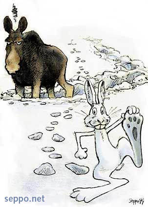  Elk and Hare with snow shoes, keywords:
 elk moose hare snow shoes winter humor cartoon