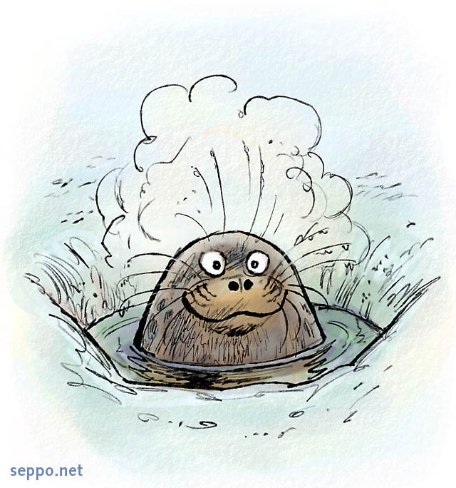  Saimaa ringed seal and air hole, keywords:
 Saimaa ringed seal endemic subspecies Finland air hole winter ice breathing vapor Pusa hispida saimensis cartoon