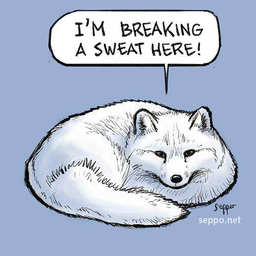  The Arctic fox, keywords:
 Arctic fox Alopex lagopus winter cold wintercoat adaptation survival cartoon