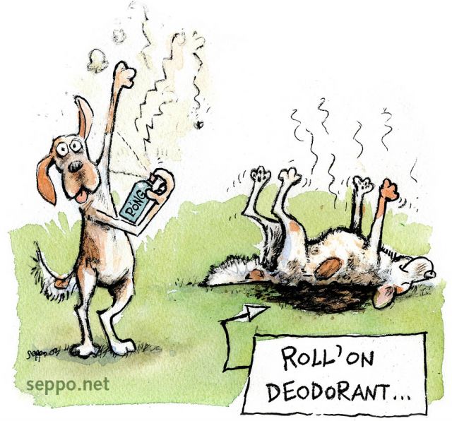  Doggy deodorant , keywords:
 dog deodorant stink. funk poop stench pong roll on cartoon