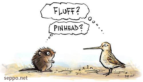  Water Vole and Common Snipe, keywords:
 Water Vole Common Snipe Arvicola terrestris Gallinago gallinago cartoon