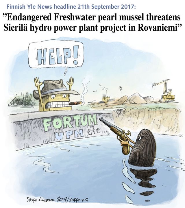  Freshwater Pearl Mussel vs hydro power company, keywords:
 Freshwater Pearl Mussel endangered Margaritifera margaritifera river hydro power company Kemijoki Oy dam headline Yle news balanced journalism nature salmon trout cartoon