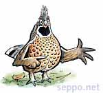  Pyy, keywords:
 pyy Bonasia bonasia