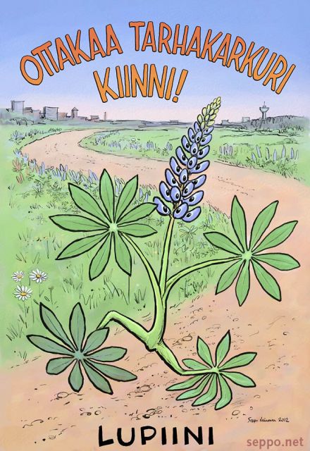  Ottakaa tarhakarkuri kiinni - lupiini, keywords:
 vieraslaji tarhakarkuri puutarhakarkulainen lupiini Lupinus polyphyllus leviäminen torjunta alkuperäislajit pilapiirros