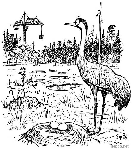  Kurki, suo ja nostokurki, keywords:
 kurki nostokurki suo pesäpaikka rakentaminen suoluonto luonnonsuojelu soidensuojelu kosteikko muuttolintu Grus grus pilapiirros