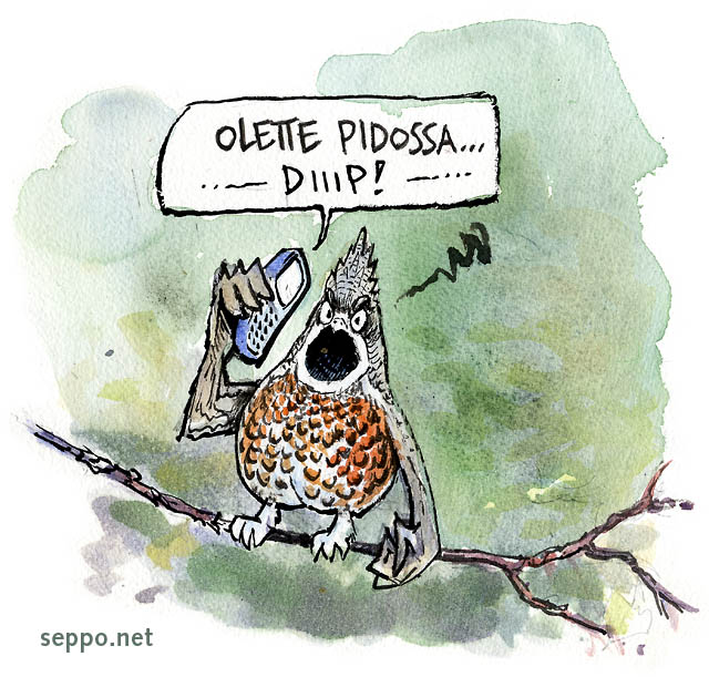  Pyy pidossa, keywords:
 pilapiirros pyy Tetrastes bonasia puhelin puhelu kännykkä matkapuhelin odotusääni pidossa