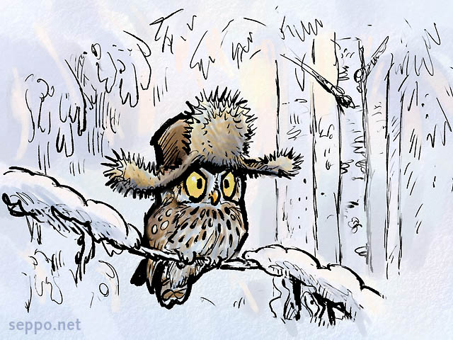  Varpuspöllö - talvi, keywords:
 varpuspöllö talvi pakkanen karvahattu pilapiirros Glaucidium passerinum