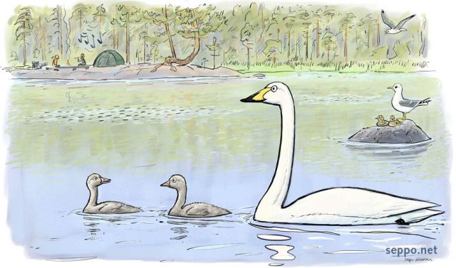  Retkeilijät sekä joutsenpoikue ja kalalokkiperhe, keywords:
 teltta retkeily iltanuotio joutsen poikanen kalalokki untuvikko pesintä vesilintu kesä järvi cygnus cygnus Larus canus piirros
