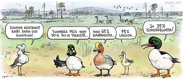  Suomen kosteikot ovat lintujen suosiossa, keywords:
 lintu kosteikko neva avosuo suojelu aapasuo suokukko telkkä haapana liro isokoskelo metsähanhi Eurooppa EU Philomachus pugnax Bucephala clangula Tringa glareola Anas penelope Mergus merganser Anser fabalis
