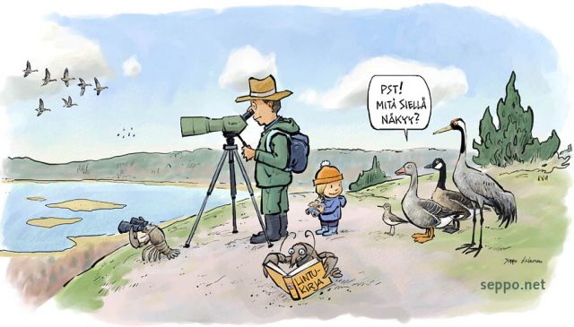  Lintuharrastajat seuraavat muuttoa kalliolla, keywords:
 linnut lintuharrastus lintuharrastaja bongari muutto liro merihanhi kanadanhanhi kurki Tringa glareola Anser anser Branta canadensis Grus grus rapu Astacus pilapiirros