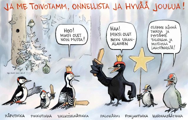  Tiernapojat tikat ja Joulu, keywords:
 tikka tiernapojat Joulu vanha metsä pikkutikka pohjantikka käpytikka palokärki pilapiirros