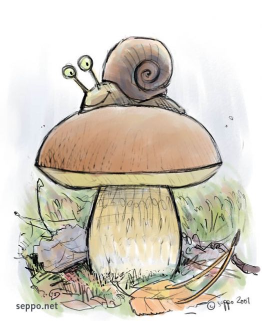  Herkkutatti ja etana, keywords:
 herkkutatti kivitatti Boletus edulis etana kotilo Gastropoda pilapiirros