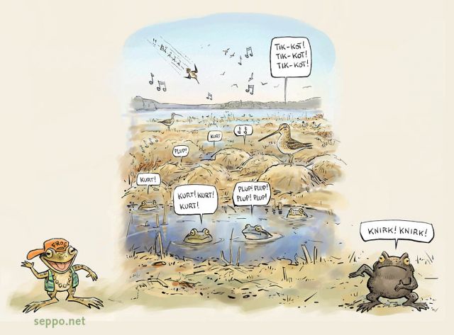  Rantaluhta - linnut sammakot ja rupikonnat, keywords:
 Rantaluhta lintulahti kosteikko sammakko viitasammakko rupikonna taivaanvuohi Rana temporaria Rana arvalis Bufo bufo Gallinago gallinago