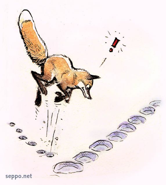  Kettu säikähtää omia jälkiään, keywords:
 kettu jälki jäljet lumi lumessa sulanut säikähtää säikähdys Vulpes vulpes pilapiirros