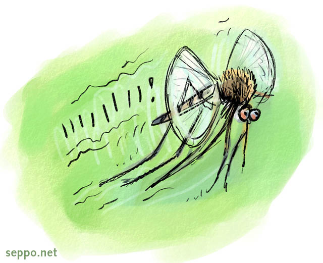  Hyttynen, keywords:
 hyttynen itikka Culicidae hyönteinen ötökkä pilapiirros