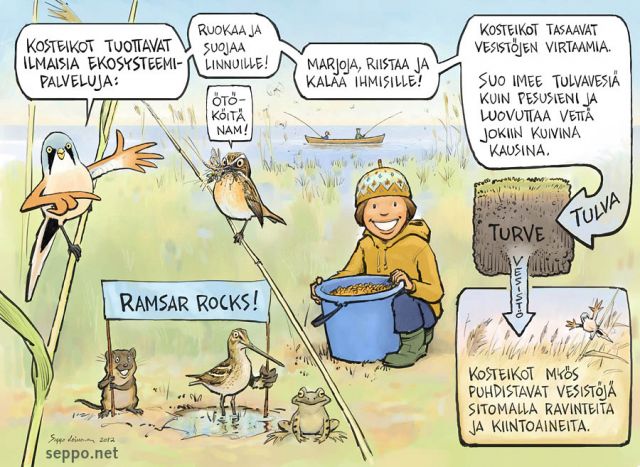  Liminganlahti on tärkeä lintualue ja suojeltu kosteikko, keywords:
 Ramsar sopimus kosteikko vesilintu lintualue IBAN vesiensuojelu ekosysteemipalvelu turve Panurus biarmicus Saxicola rubetra Arvicola amphibius Gallinago Rana temporaria pilapiirros