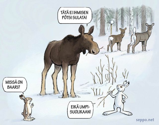  Riistapelto ruokkii eläimiä talvella, keywords:
 riistapelto riistanhoito talviruokinta hirvi metsäkauris valkohäntäkauris valkohäntäpeura metsäjänis kani Alces alces Capreolus capreolus Odocoileus virginianus Lepus timidus Oryctolagus cuniculus pilapiirros
