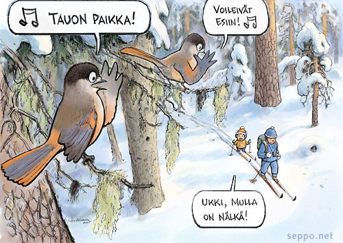  Kuukkelit ukki ja lapsenlapsi Lapissa, keywords:
 Kuukkeli hiihtäjät eväät Lappi retkeilijä kesy ihminen Perisoreus infaustus pilapiirros