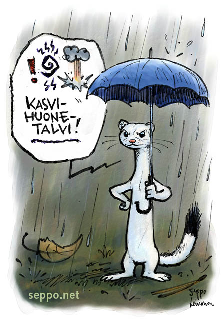  Kärppä ja väärä suojaväri, keywords:
 kärppä suojaväri talviturkki talvi kasvihuoneilmiö sade sataa lumeton maa sateenvarjo Mustela erminea pilapiirros