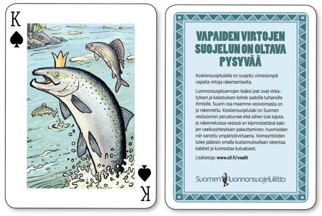  Vapaat virtavedet vaelluskalat koskiensuojelulaki, keywords:
 virtavesi koski lohi harjus taimen koskiensuojelulaki Kollaja Vuotos tekoallas vesiluonto voimayhtiö kalatie vastuuttomuus tuho tasamaa Natura PVO Kemijoki Oy piirros