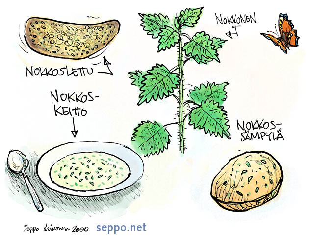  Nokkonen – paljon hyvää ruokaa, keywords:
 nokkonen luonnontuote ruoka ravinto terveysruoka lettu sämpylä keitto nokkosperhonen Urtica dioica Nymphalis urticae pilapiirros