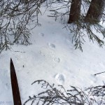 ilveksen_jaljet_kainuu_09_fi