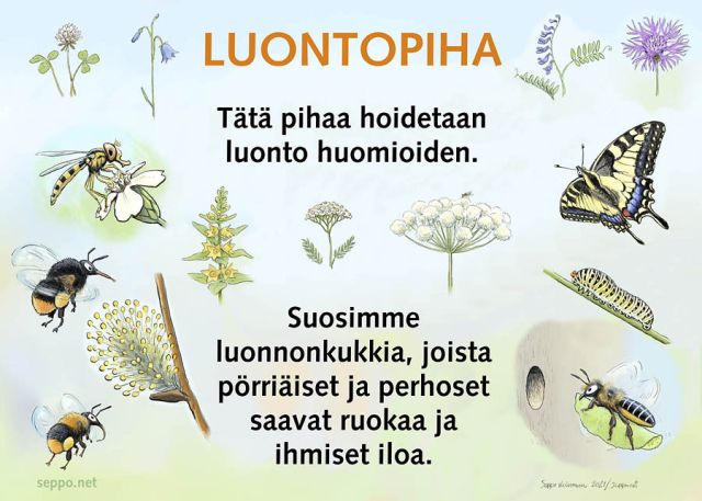 Klikkaa kuvaa nähdäksesi se täysikokoisena